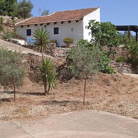 Almogía Morales Cottage מראה חיצוני תמונה