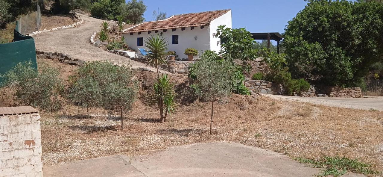 Almogía Morales Cottage מראה חיצוני תמונה