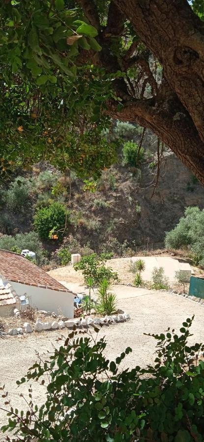 Almogía Morales Cottage מראה חיצוני תמונה