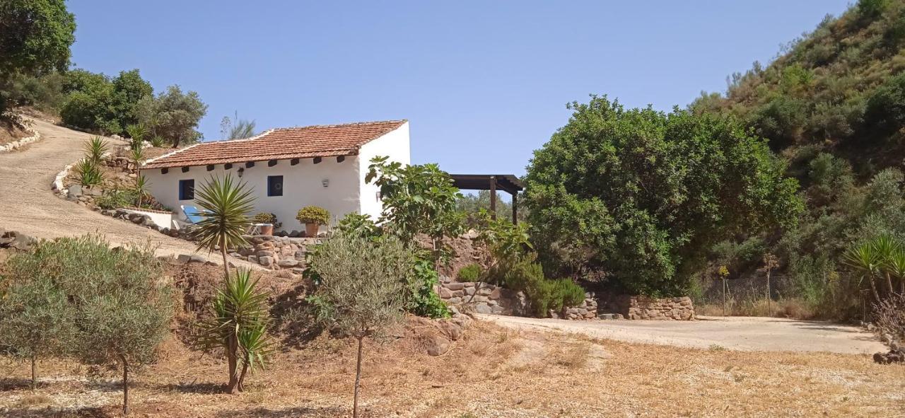 Almogía Morales Cottage מראה חיצוני תמונה